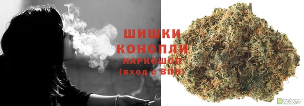 PSILOCYBIN Бородино