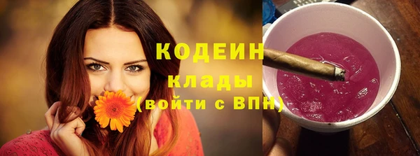 PSILOCYBIN Бородино