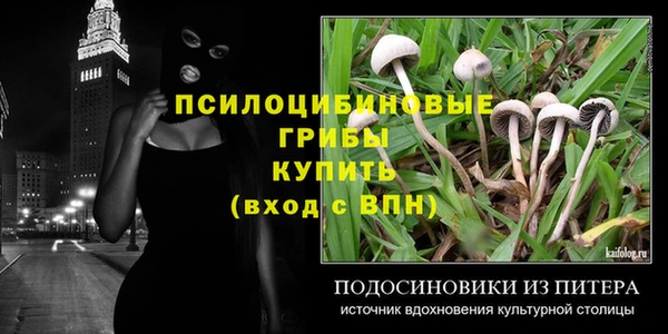 не бодяженный Белокуриха