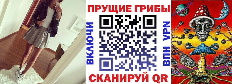 kraken зеркало  Кузнецк  Псилоцибиновые грибы прущие грибы  цены наркотик 