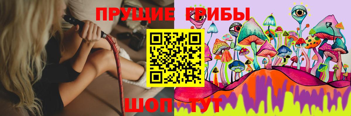 Галлюциногенные грибы мицелий Кузнецк