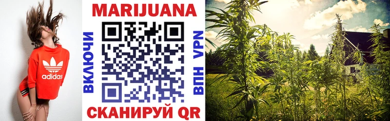 где продают Кузнецк Конопля план